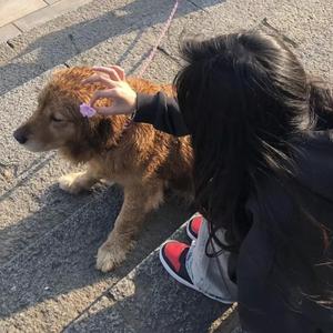 一大早王乙就起来等汽车
