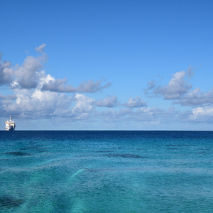 一大早王乙就起来等汽车
